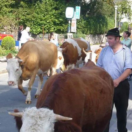 Apartament Haus Waldfrieden Mittenwald